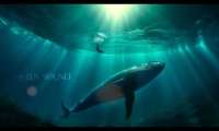 Deep Underwater Journey – Healing Meditation Music  Water Koshi Wind Chimes Meditation & Calm Whale — Лечебная музыка для сна