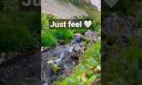 This Amazing Place Sounds Like My Meditation Music!  — Лечебная музыка для сна