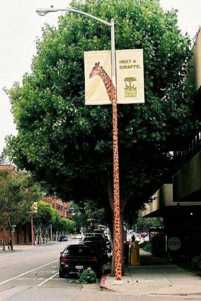 Реклама зоопарков.