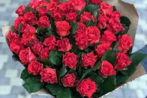 51 красная роза Гран При 70 см